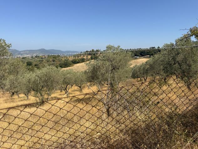 Agricolo in Vocabolo Cibottola - Foto 7