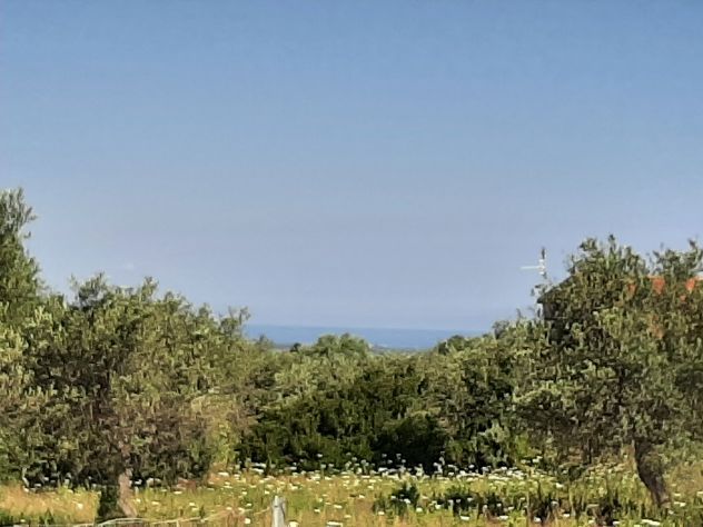 OLIVETO PAINEGGIANTE E VISTA MARE - Foto 8