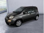 FIAT Panda 3ª serie -  1.0 FireFly S&S Hybrid Red rif. 24185242