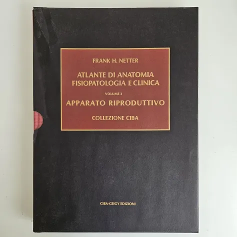 Netter, 7 Volumi - Collezione Ciba Geigy - Frank Netter - 1985 - TRACCIATA! - Foto 9