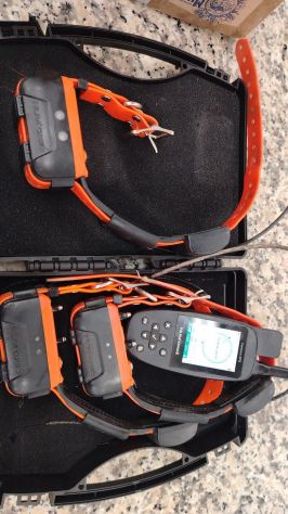Garmin astro 320,430 Alpha gps Dogtra x20 x30, Dogtra T&B Dual, Sportdog Tek ecc - Foto 6