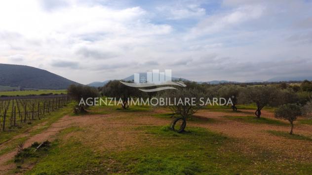 Terreno edificabile in vendita a Alghero - Foto 2