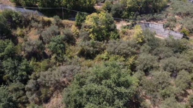 Immobile in asta di 920 m² in vendita a Merì - Foto 8