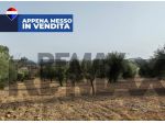 Terreno Industriale in vendita a Motta Sant'Anastasia