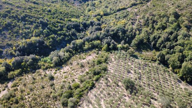 Agricolo in Via Piano Grande - Foto 11