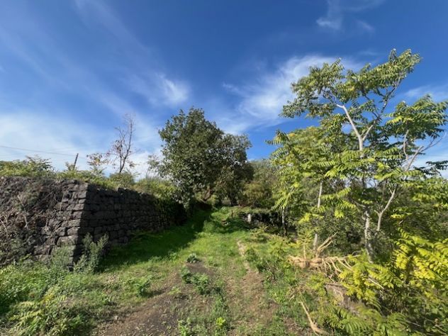Vendesi terreno agricolo a Santa Venerina strada provinciale - Foto 2