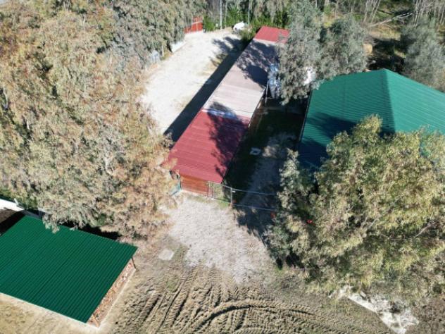 Immobile in asta di 22865 m² in vendita a Teramo - Foto 9