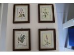 4 Quadretti raffiguranti Stampe Floreali