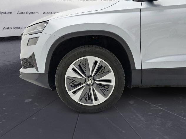 Škoda Karoq Karoq 2.0 TDI SCR 115 CV Executive - Foto 6