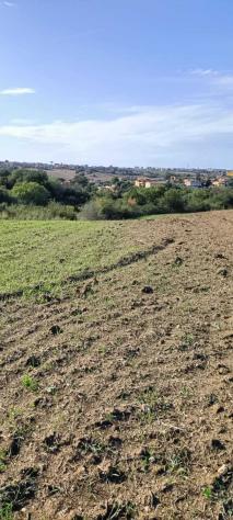 Agricolo in Via Nazareno Strampelli - Foto 8