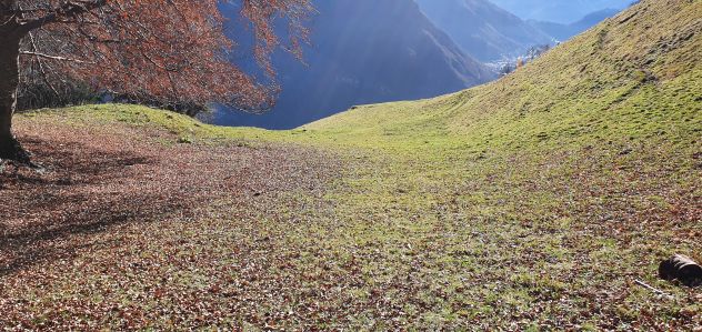 RUSTICO / CASALE - Foto 4