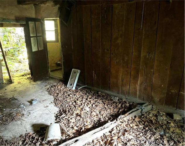 V000561 - CASA RUSTICA CON MOLTO TERRENO - Foto 3