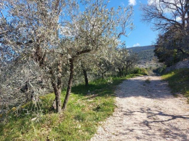Immobile in asta di 4934 m² in vendita a Campello sul Clitunno - Foto 3
