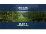 Immobile in asta di 66922 m² in vendita a Mineo