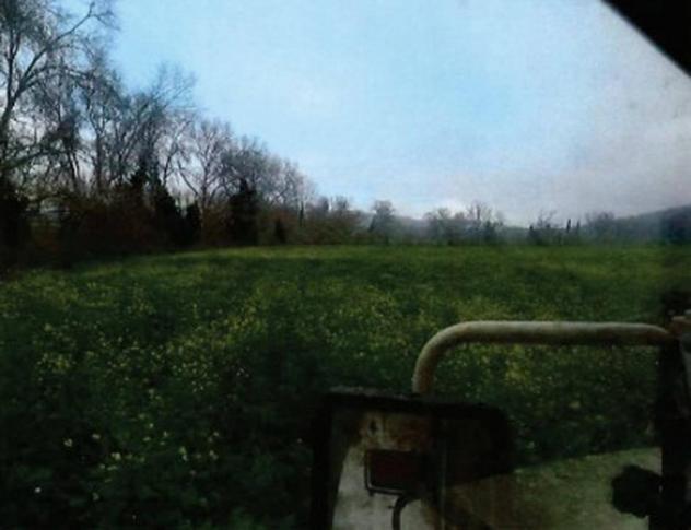 Immobile in asta di 70800 m² in vendita a Orte - Foto 7