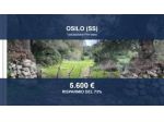 Immobile in asta di 23081 m² in vendita a Osilo