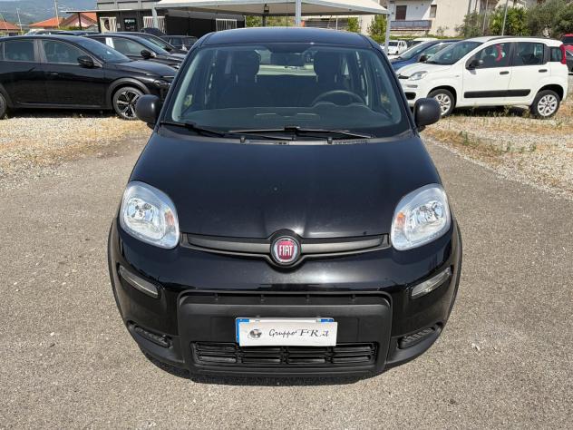 FIAT Panda 1.0 FireFly S&S Hybrid - Foto 2