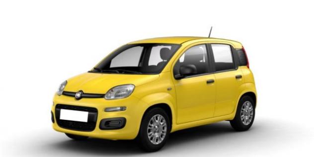 FIAT Panda 1.0 FireFly S&S Hybrid rif. 23794842
