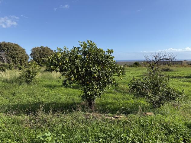 Agricolo in vendita a Giarre - Foto 5