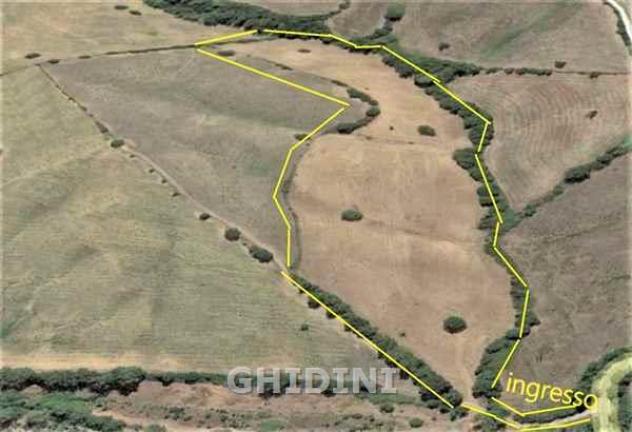 TERRENO AGRICOLO di 1 vani e di 56000 mq (GROSSETO) rif. 2259.159M - Foto 3