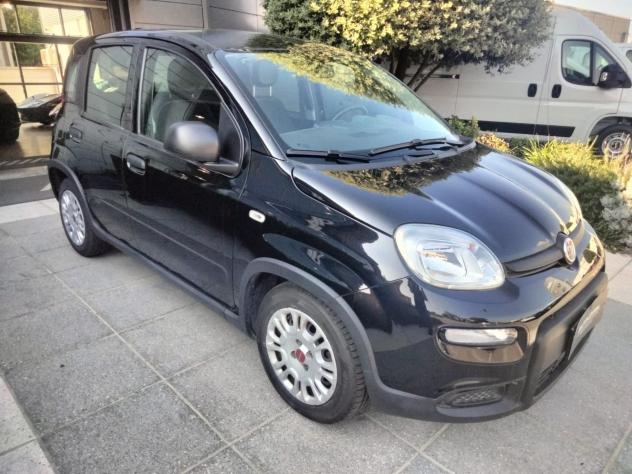 FIAT Panda 1.0 FireFly Hybrid S&S 70cv *PROMO AZZURRA* - Foto 3