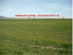 Terreno agricolo in vendita a Casciavola - Cascina 3000 mq  Rif: 1247884