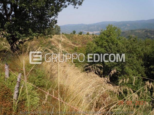 Terreno di 126670 mq in vendita a Gerocarne - Rif. 4559287