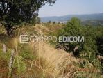 Terreno di 126670 mq  in vendita a Gerocarne - Rif. 4559287