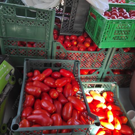 Pomodori da salsa non trattati, coltivati nel mio orto. - Foto 3