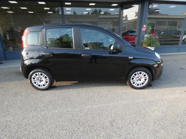 FIAT Panda 3ª serie Panda 1.2 Easy - Foto 7