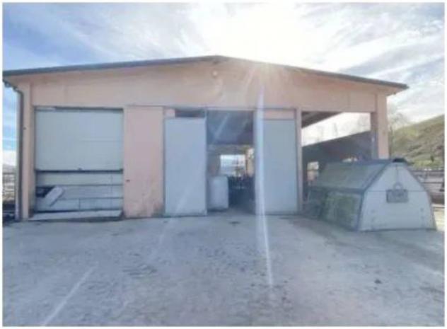 Immobile in asta di 327 m² in vendita a Pergola - Foto 8