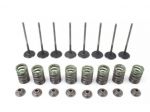 KAWASAKI Z 900 120040750 490780716 SET VALVOLE ASPIRAZIONE ZR900F 2023 INTA &hellip;