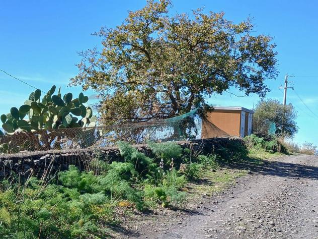 Terreno in vendita a Belpasso - Foto 7