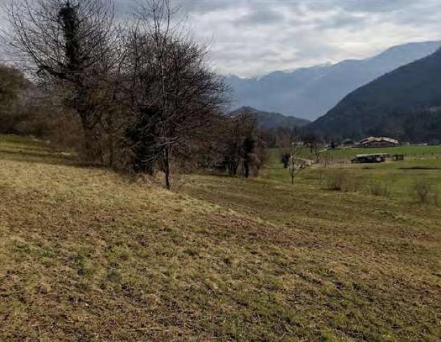 564/2022 2 BS - terreno in asta a Borno - Foto 6
