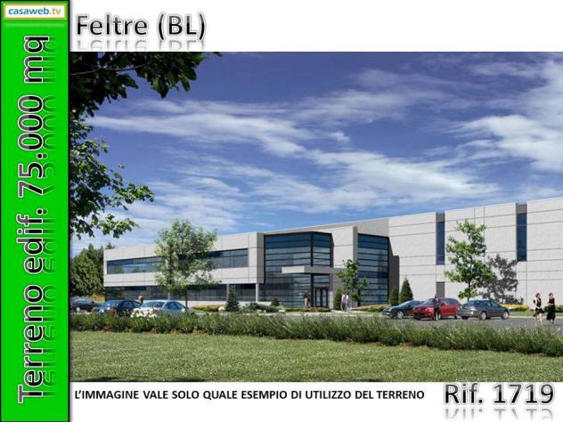 1719 - Terreno Edif. 75.000 mq a Feltre (BL) Rif. 1719