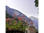 Albergo Varone