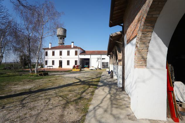 Casale in vendita a Minerbe - Foto 11