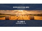 Immobile in asta di 15472 m² in vendita a Serramazzoni