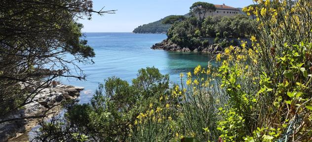 Appartamento a pochi metri dal mare con terrazza panoramica - Foto 2