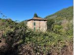 Casale in vendita a Pieve di Compito - Capannori 250 mq  Rif: 1351983