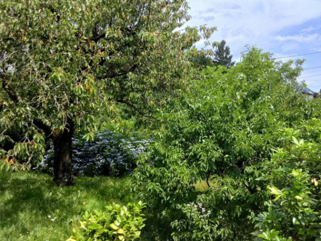 Villa di 213 m² con 4 locali e box auto in vendita a Orino - Foto 4