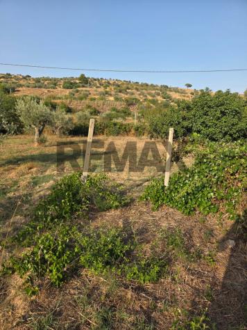 Terreno in vendita a Caltagirone - Foto 15