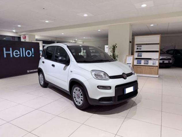 Fiat Panda Panda 1.0 firefly hybrid s - Foto 3