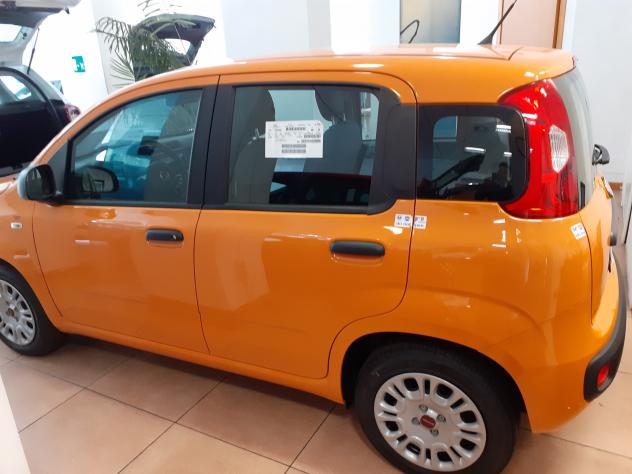 FIAT Panda - Foto 3