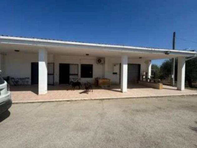 Immobile in asta di 147 m² con più di 5 locali e box auto in vendita a Foggia - Foto 3