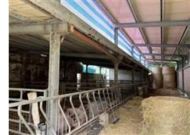 Immobile in asta di 50507 m² in vendita a Tavoleto - Foto 6