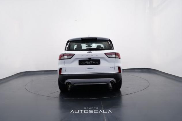 FORD Kuga 2.0 EcoBlue Hybrid 150cv 2WD Titanium Business rif. 23792981 - Foto 5