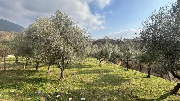Rustico/Casale/Corte - Alatri . Rif.: Cod. rif 3297841VRG