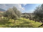 Rustico/Casale/Corte - Alatri . Rif.: Cod. rif 3297841VRG