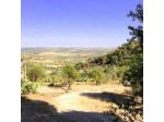 Oasi Monte Rhenna